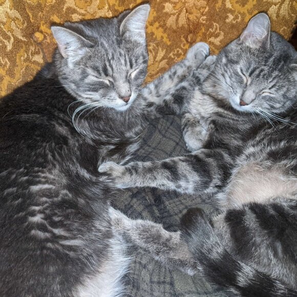 Howdy friend! You can call me Ash - Picture 5 of 7